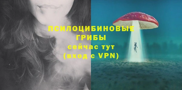 ПСИЛОЦИБИНОВЫЕ ГРИБЫ Алексеевка