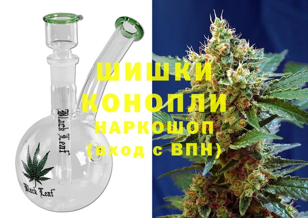ПСИЛОЦИБИНОВЫЕ ГРИБЫ Алексеевка